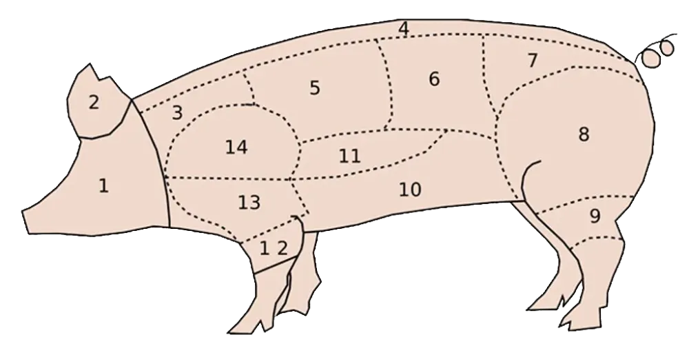 découpe porc